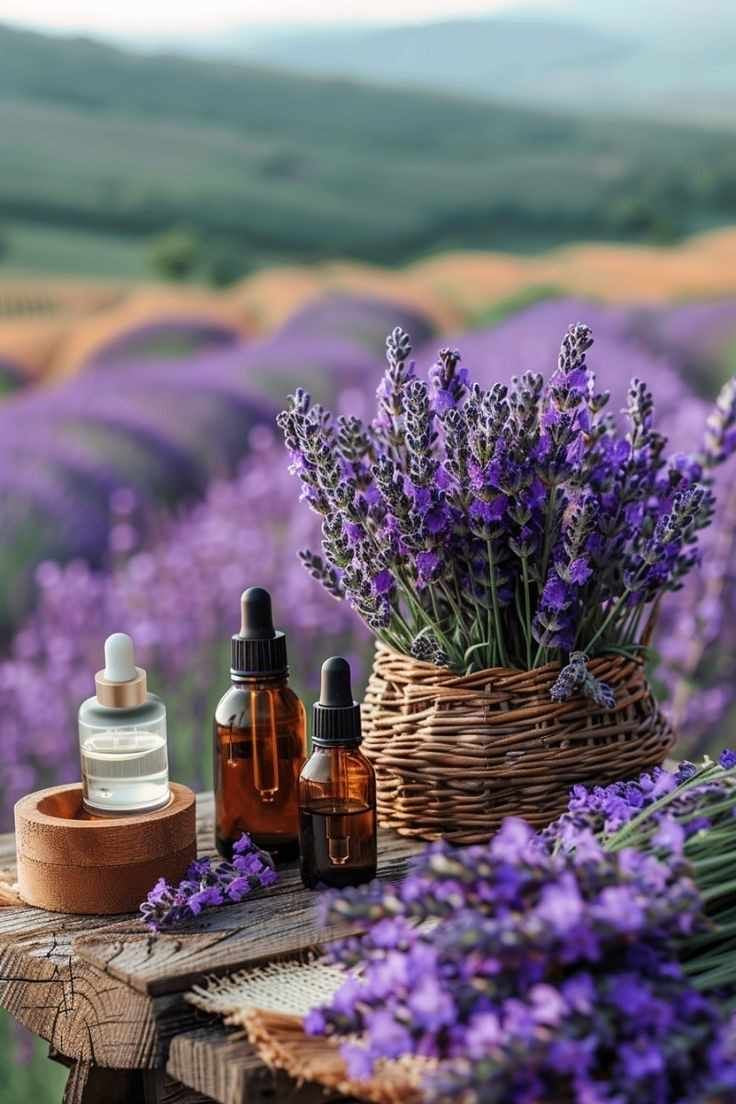 Soins naturels et beauté